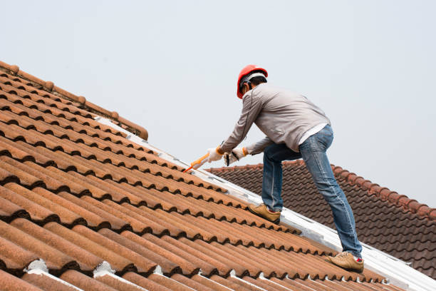 Best Chimney Flashing Repair  in Belle Plaine, IA