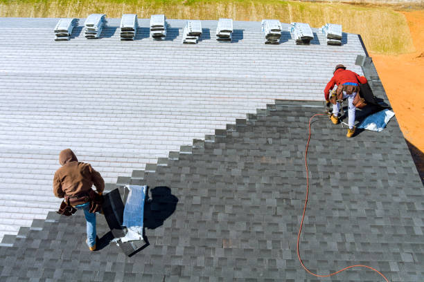 Best Solar Panel Roofing Installation  in Belle Plaine, IA