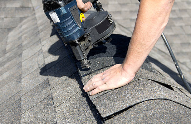 Best Roof Insulation Installation  in Belle Plaine, IA